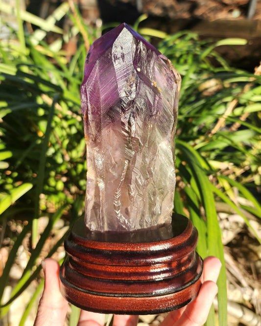 Dragon Tooth Amethyst in Custom Wood Base Bahia Amethyst