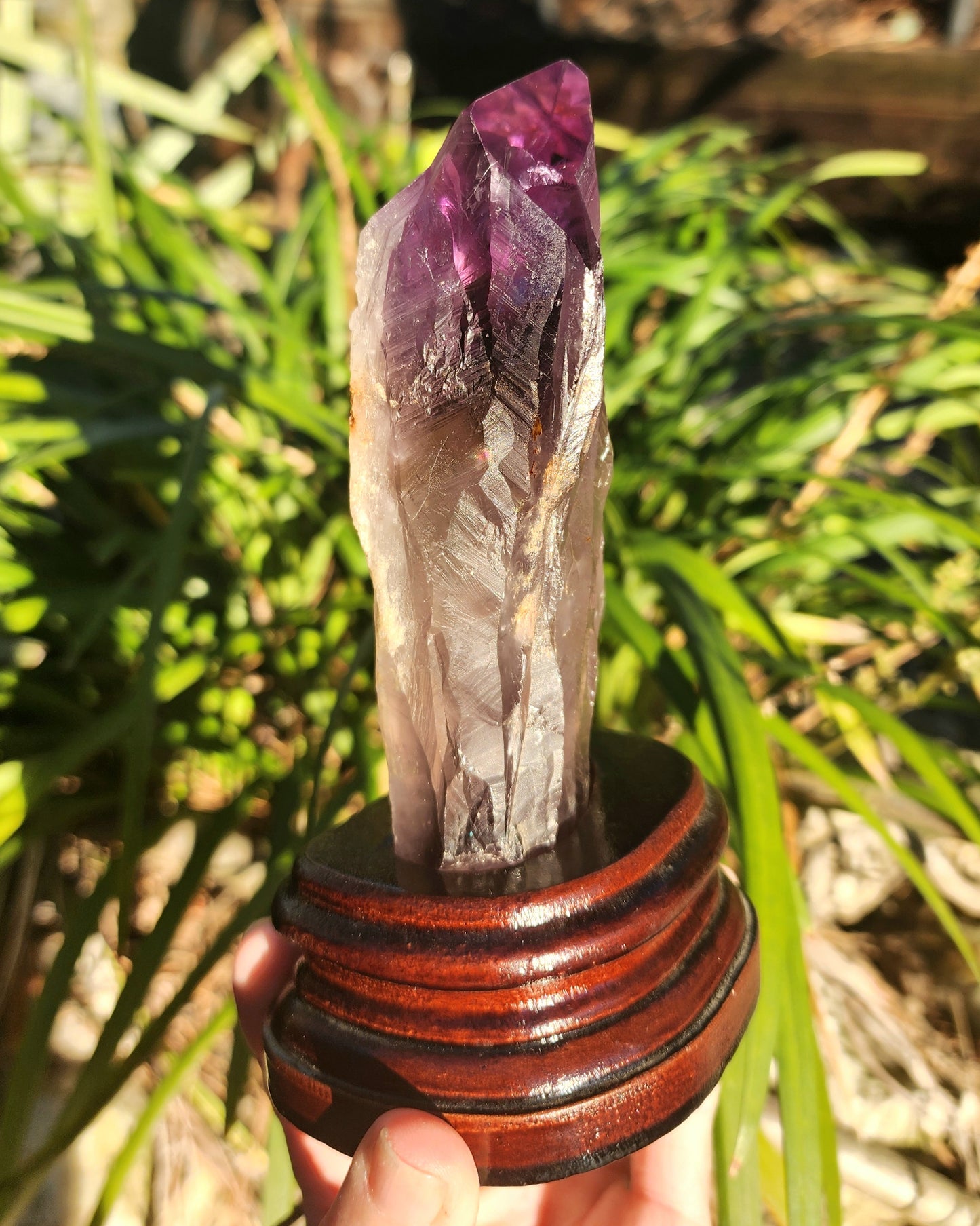 Dragon Tooth Amethyst in Custom Wood Base Bahia Amethyst