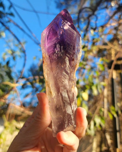 Dragon Tooth Amethyst in Custom Wood Base Bahia Amethyst