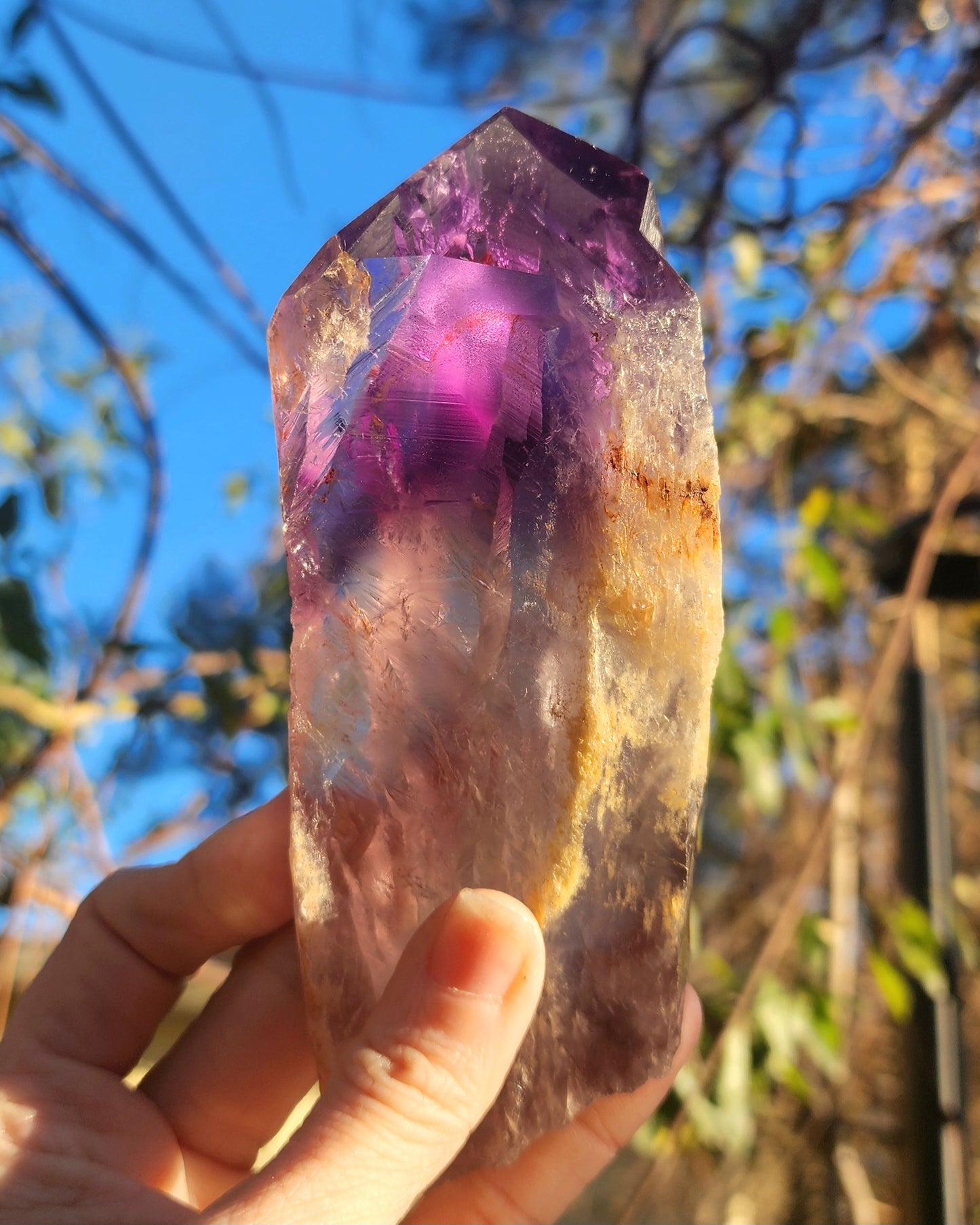 Dragon Tooth Amethyst in Custom Wood Base Bahia Amethyst