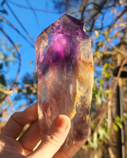 Dragon Tooth Amethyst in Custom Wood Base Bahia Amethyst