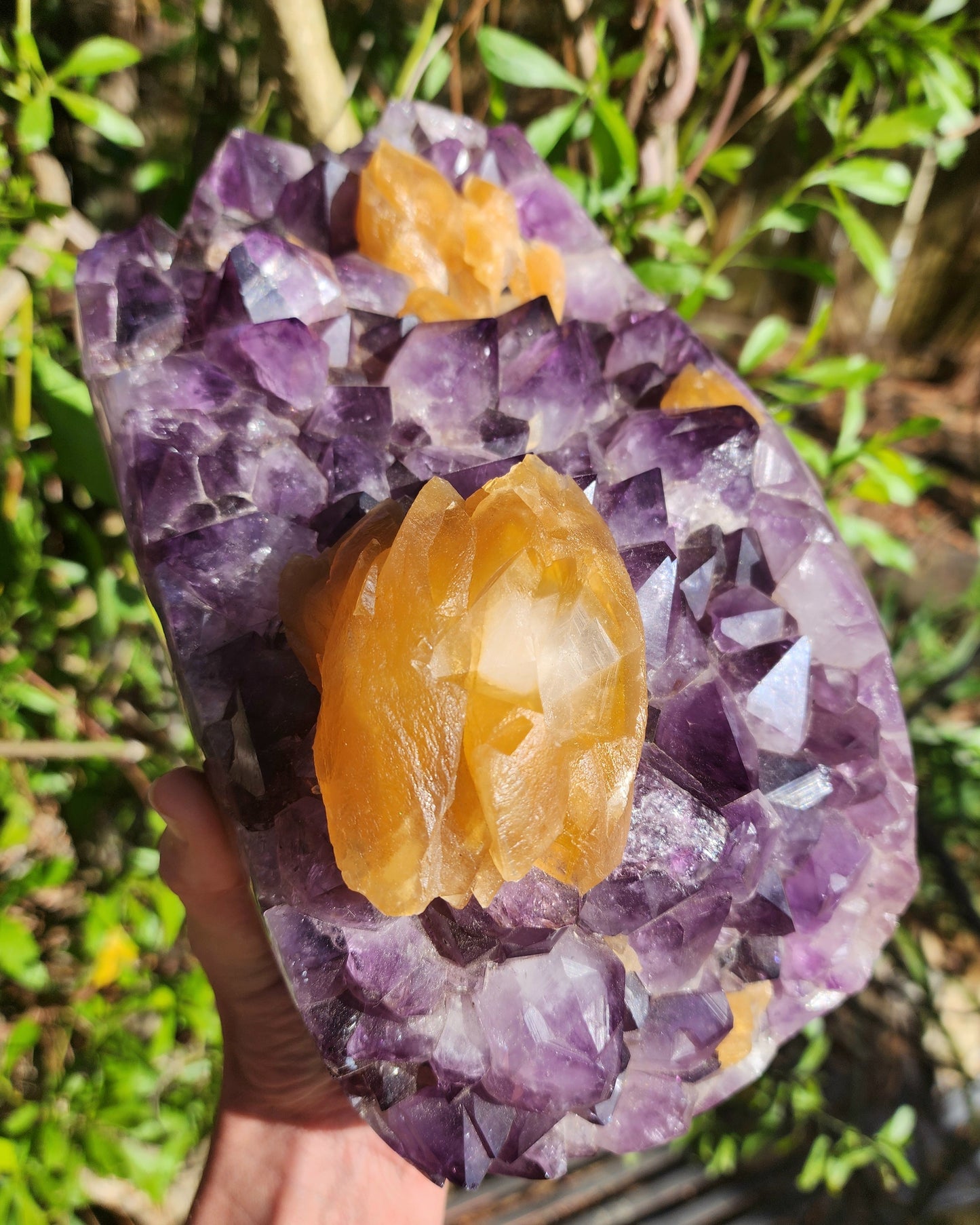 Massive Amethyst Cluster with UV Reactive Yellow Calcite