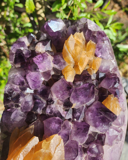 Massive Amethyst Cluster with UV Reactive Yellow Calcite