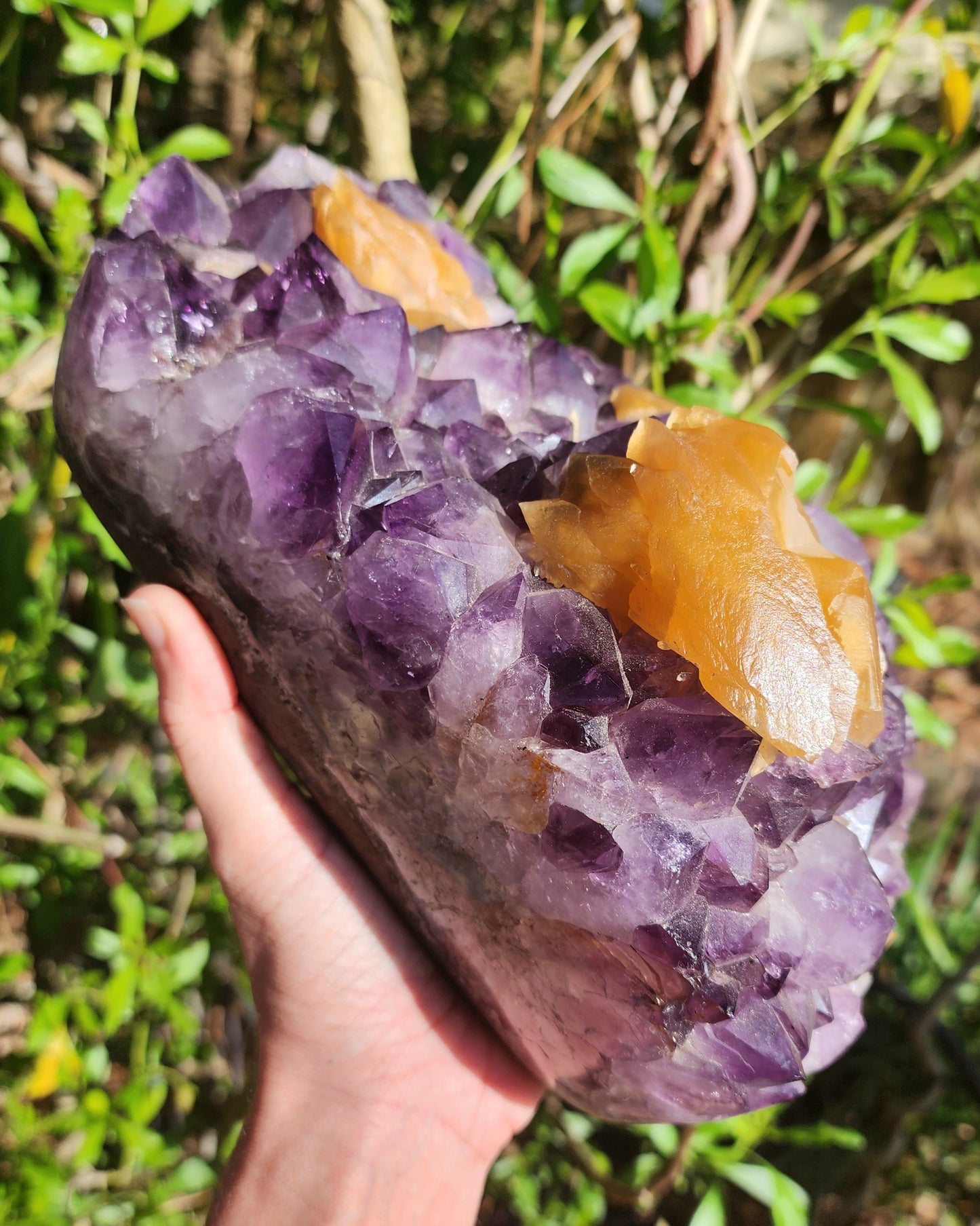 Massive Amethyst Cluster with UV Reactive Yellow Calcite