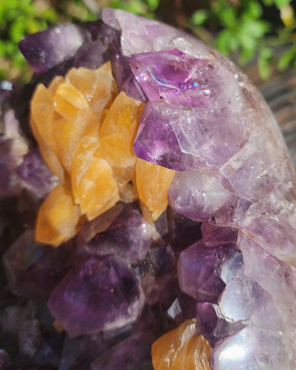 Massive Amethyst Cluster with UV Reactive Yellow Calcite