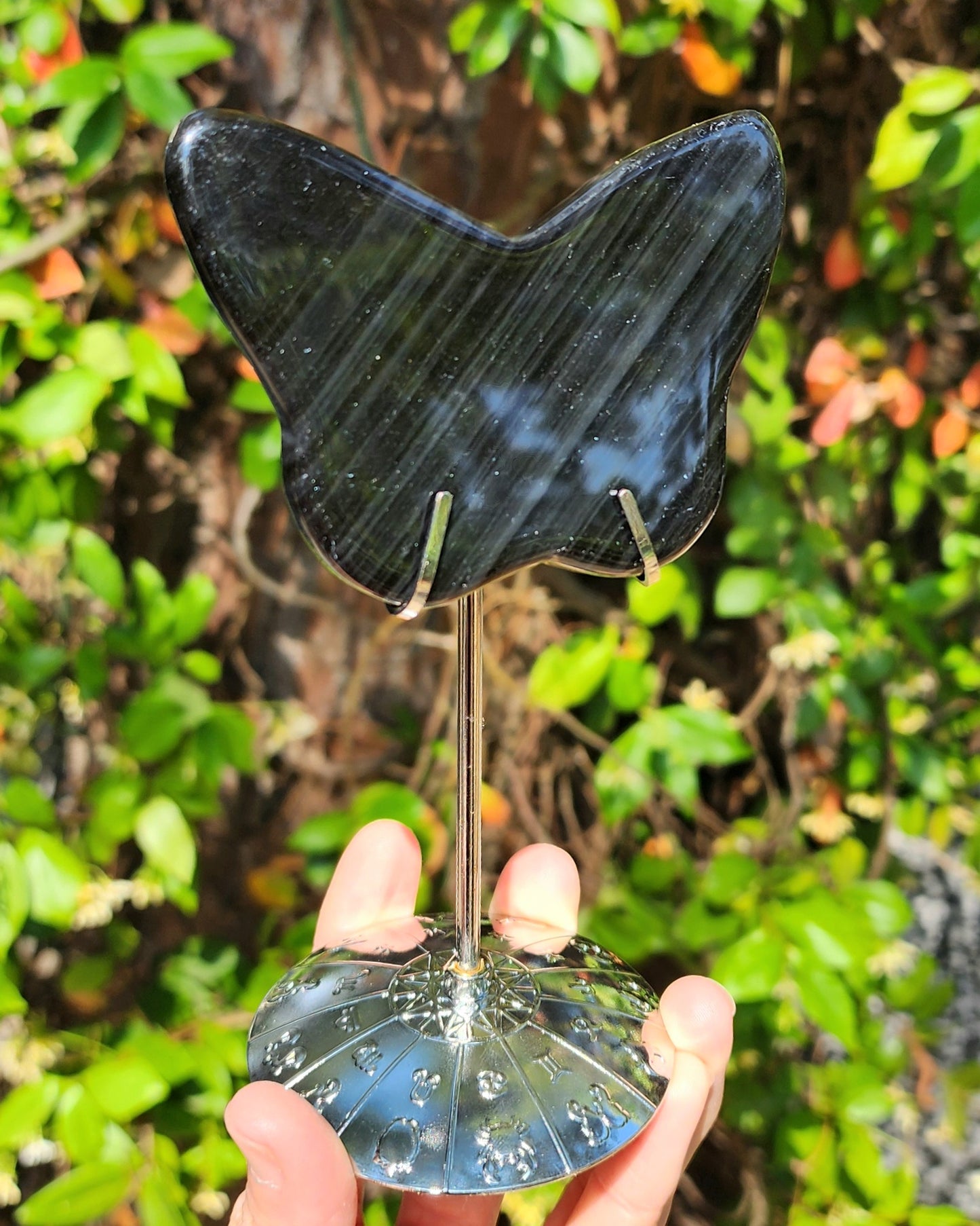 Midnight Lace Obsidian Butterfly on Stand
