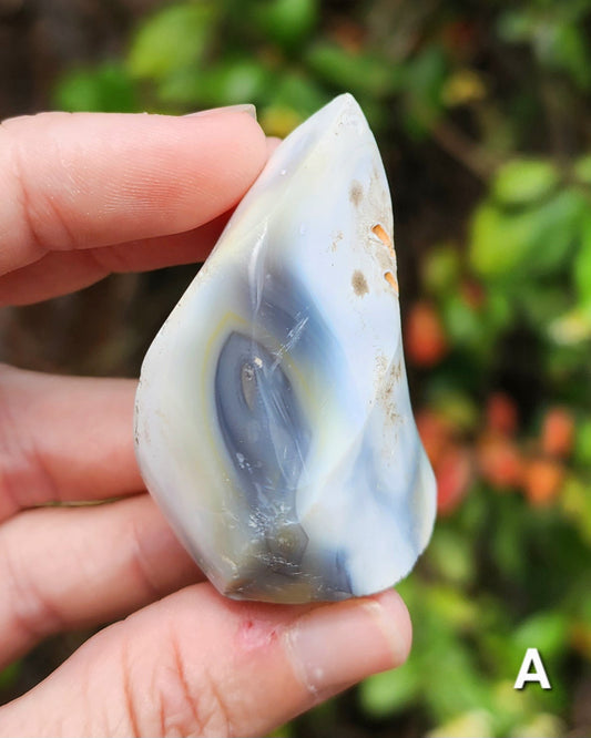 Orca Agate Flames