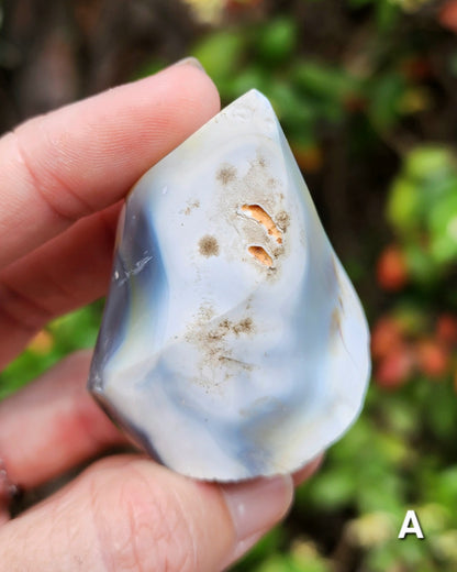 Orca Agate Flames