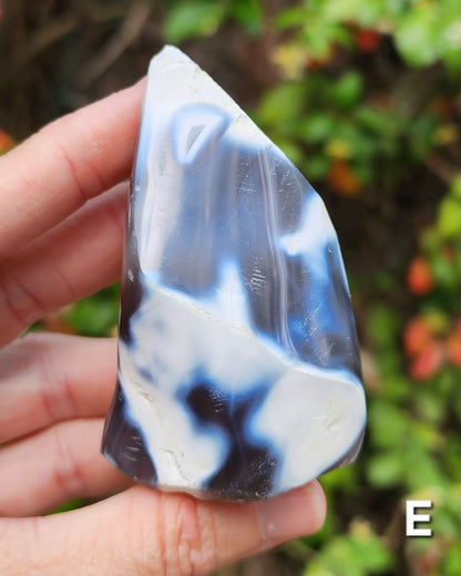Orca Agate Flames