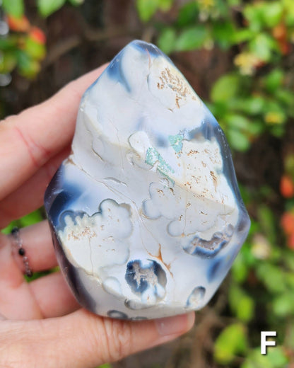 Orca Agate Flames