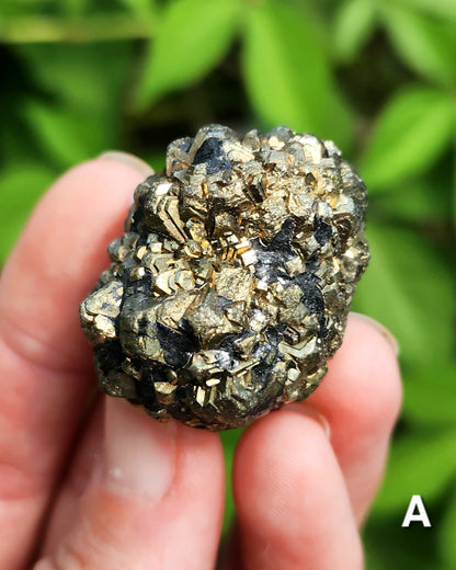 Marcasite Nodules