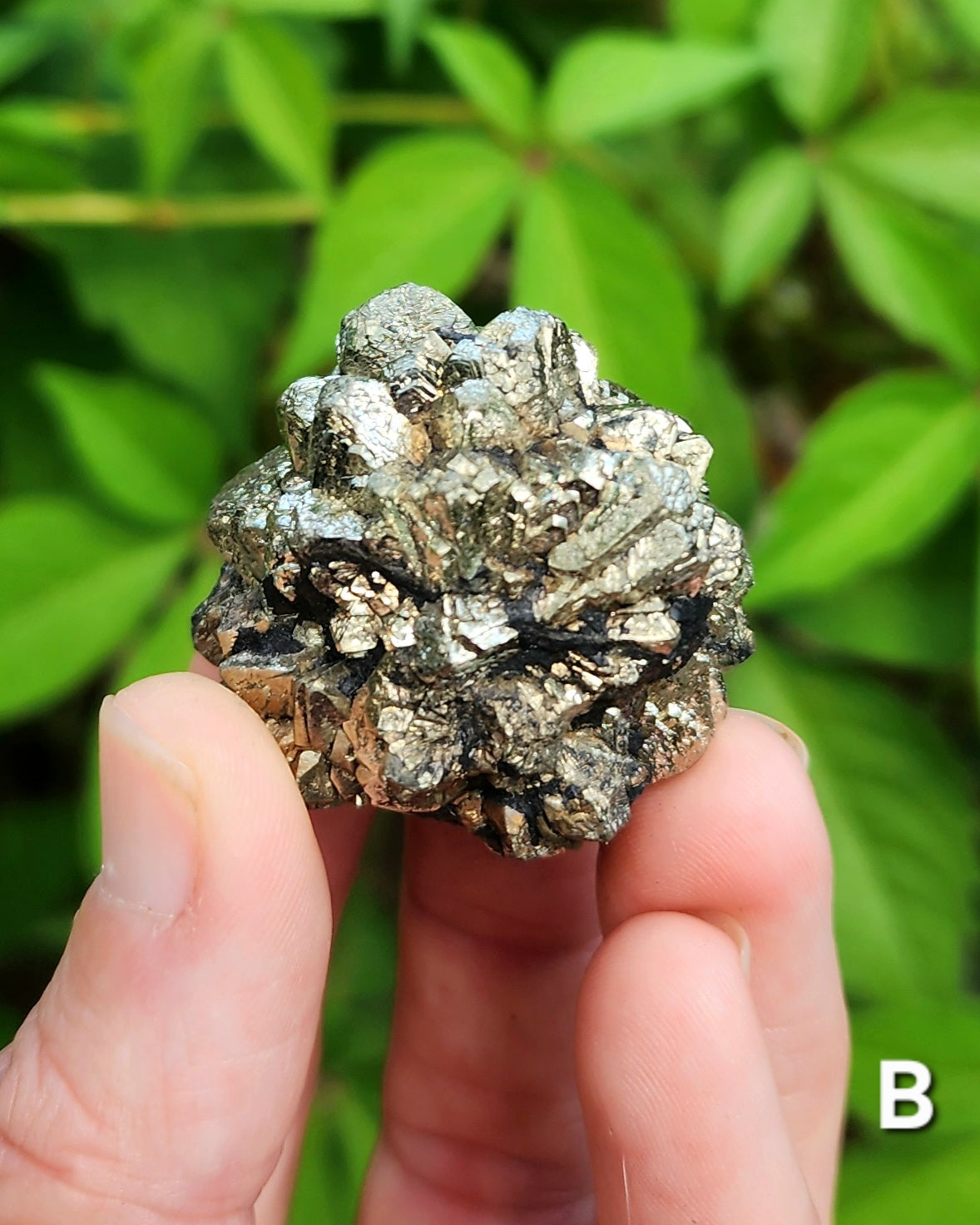 Marcasite Nodules