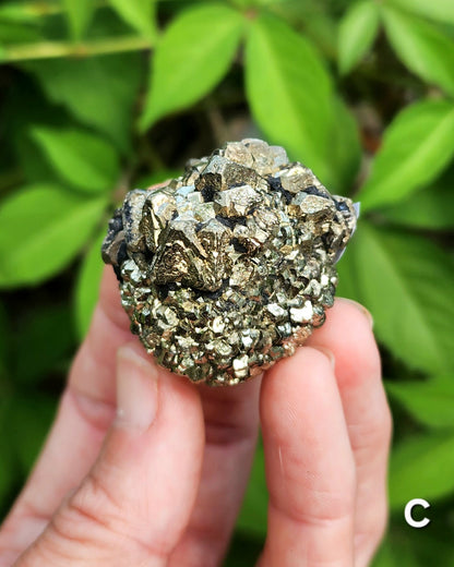 Marcasite Nodules