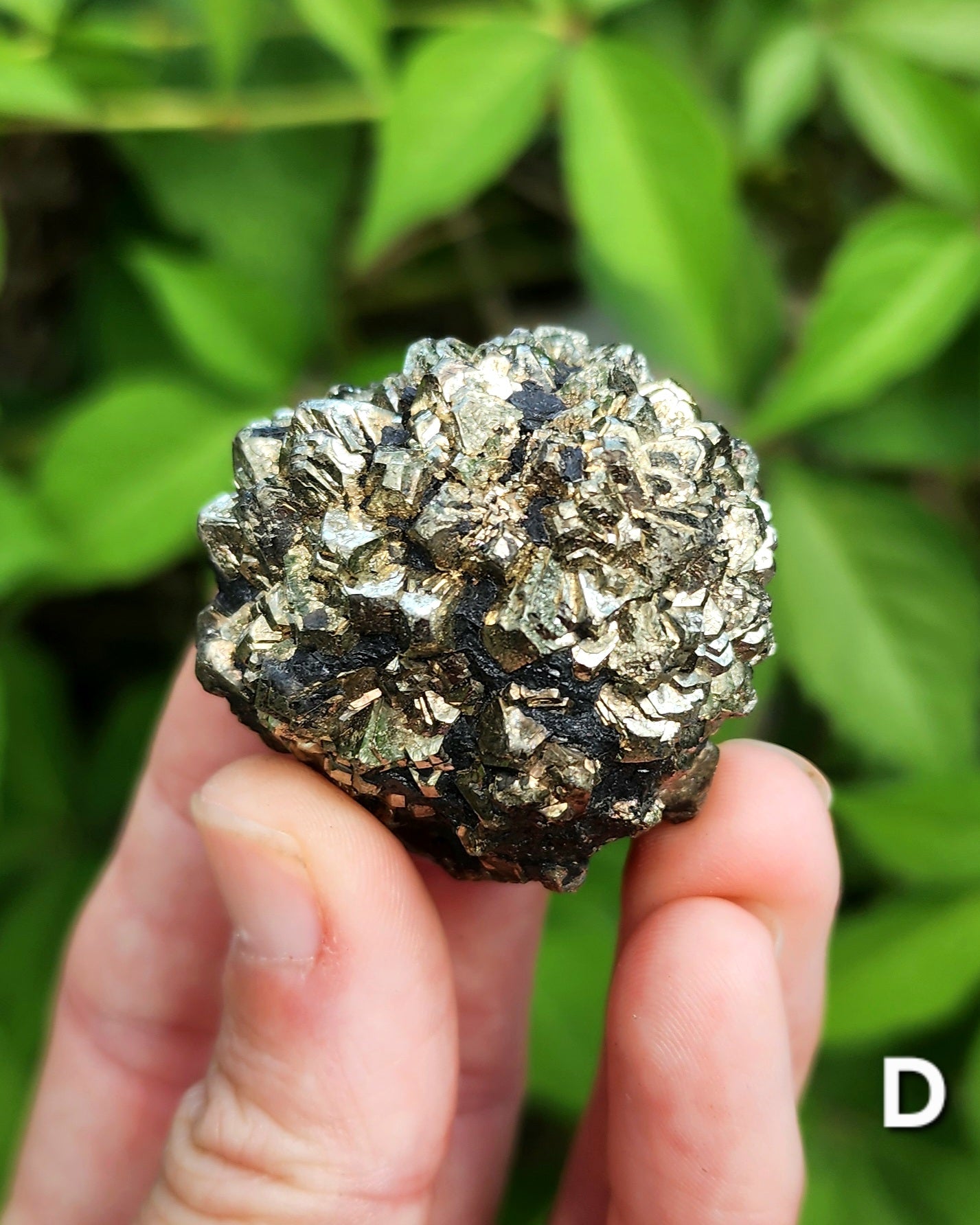 Marcasite Nodules