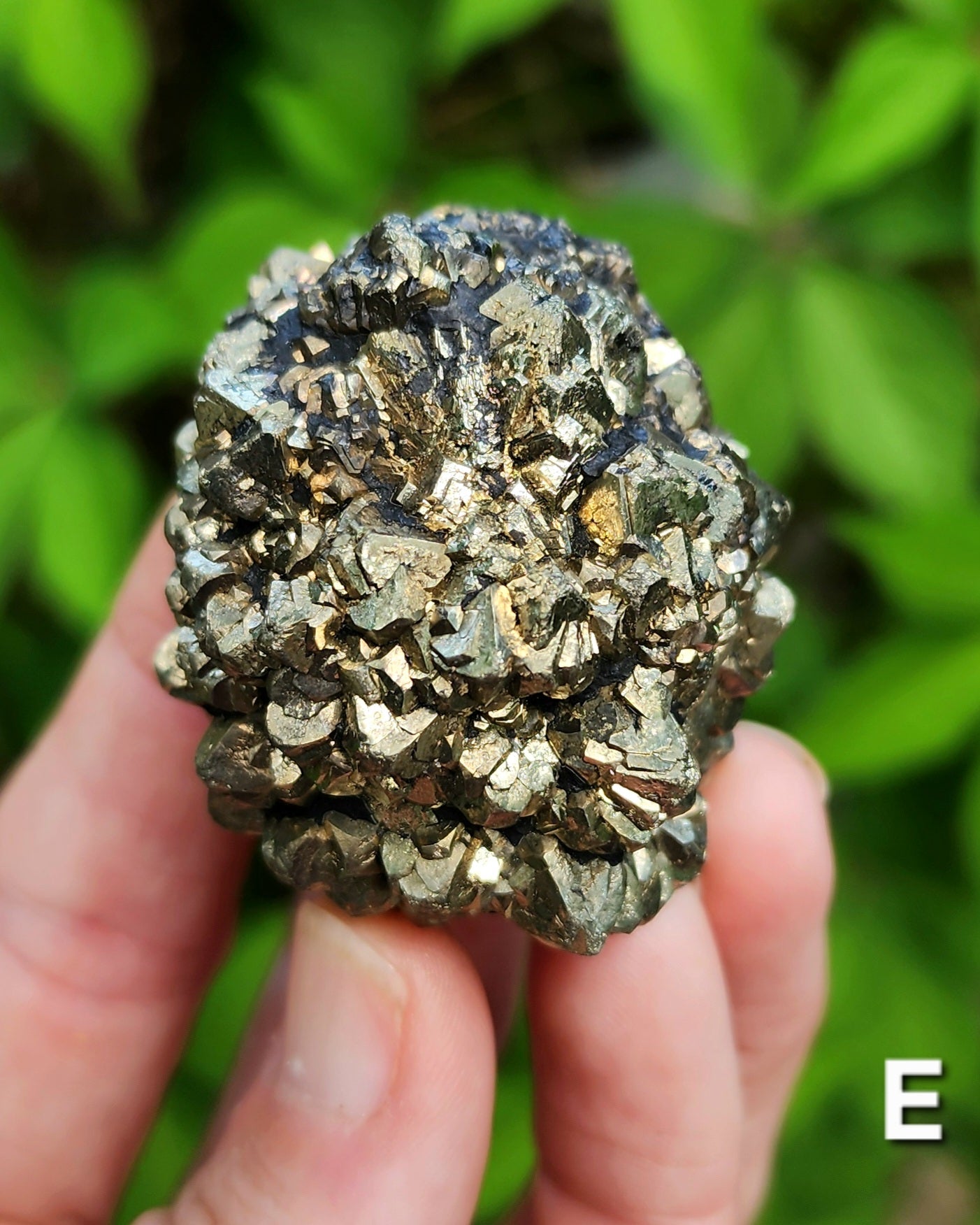 Marcasite Nodules