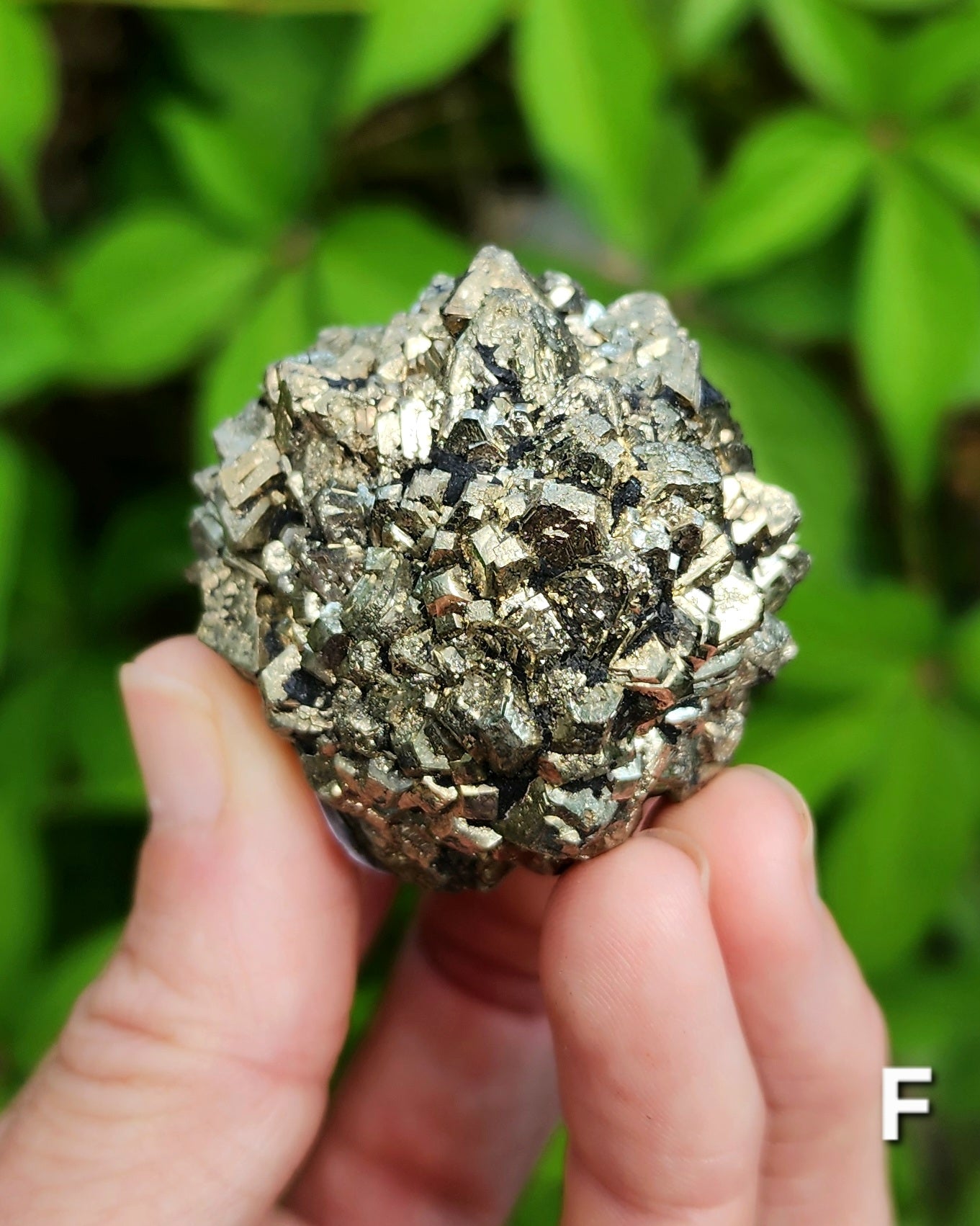 Marcasite Nodules