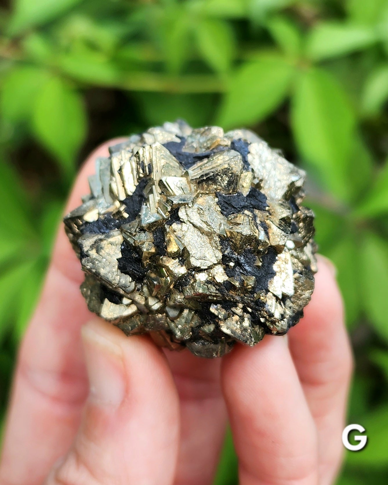 Marcasite Nodules