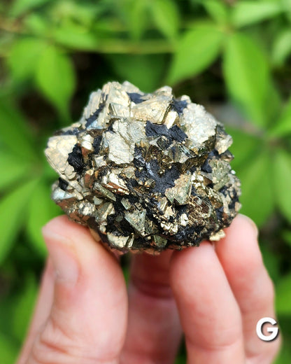 Marcasite Nodules