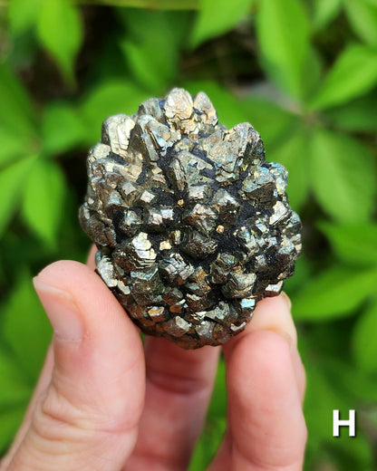 Marcasite Nodules