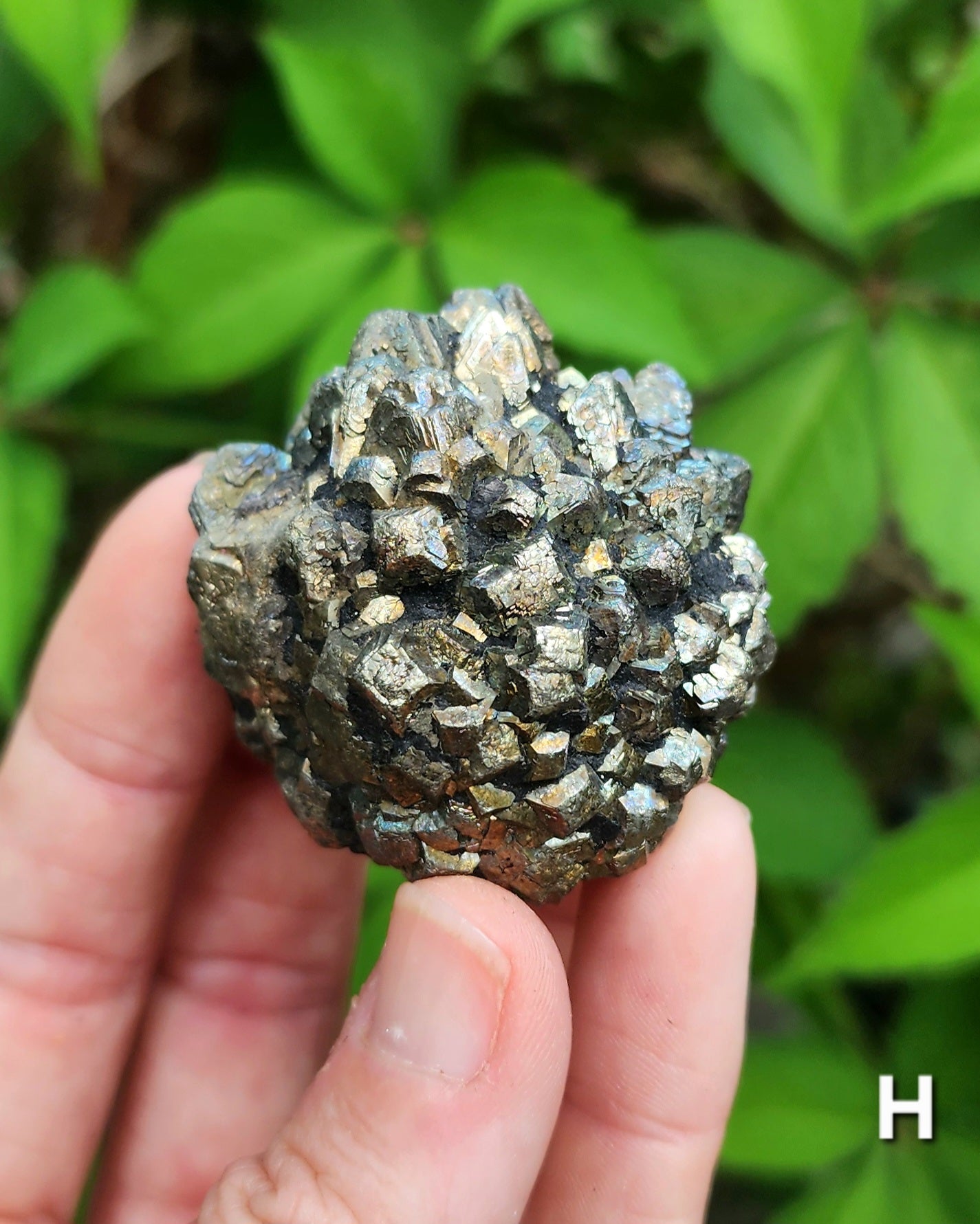 Marcasite Nodules