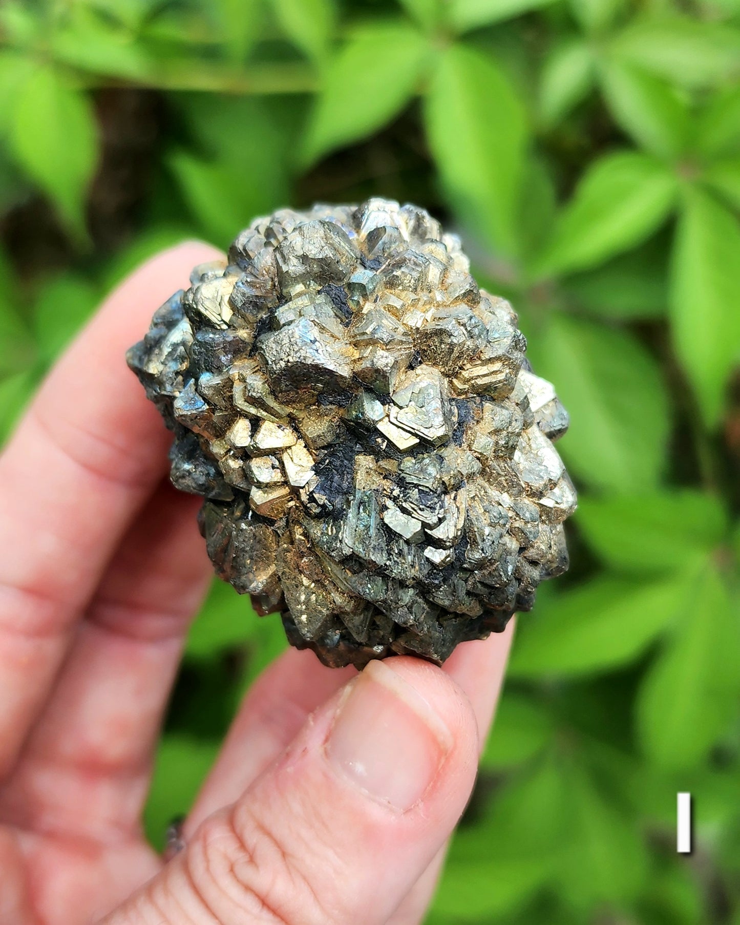 Marcasite Nodules