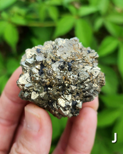 Marcasite Nodules
