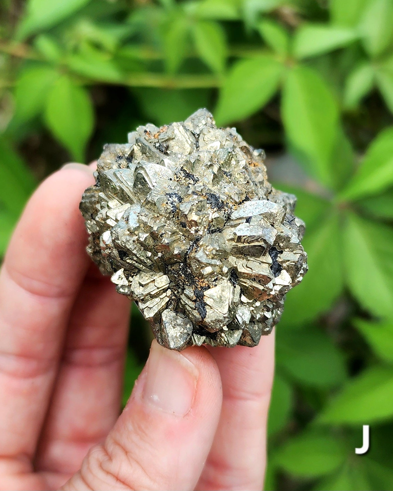 Marcasite Nodules