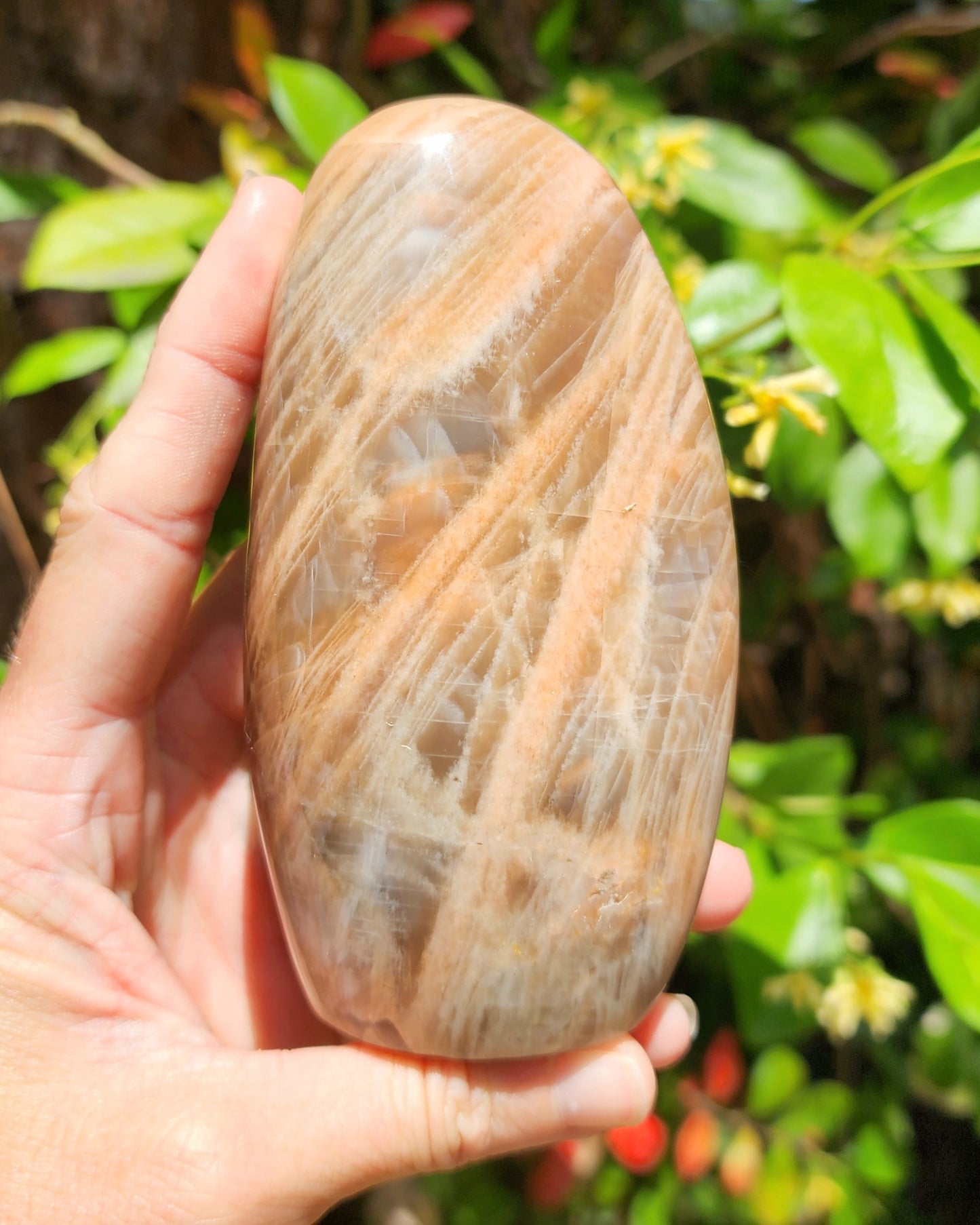Peach Moonstone Freeform