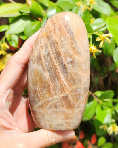 Peach Moonstone Freeform