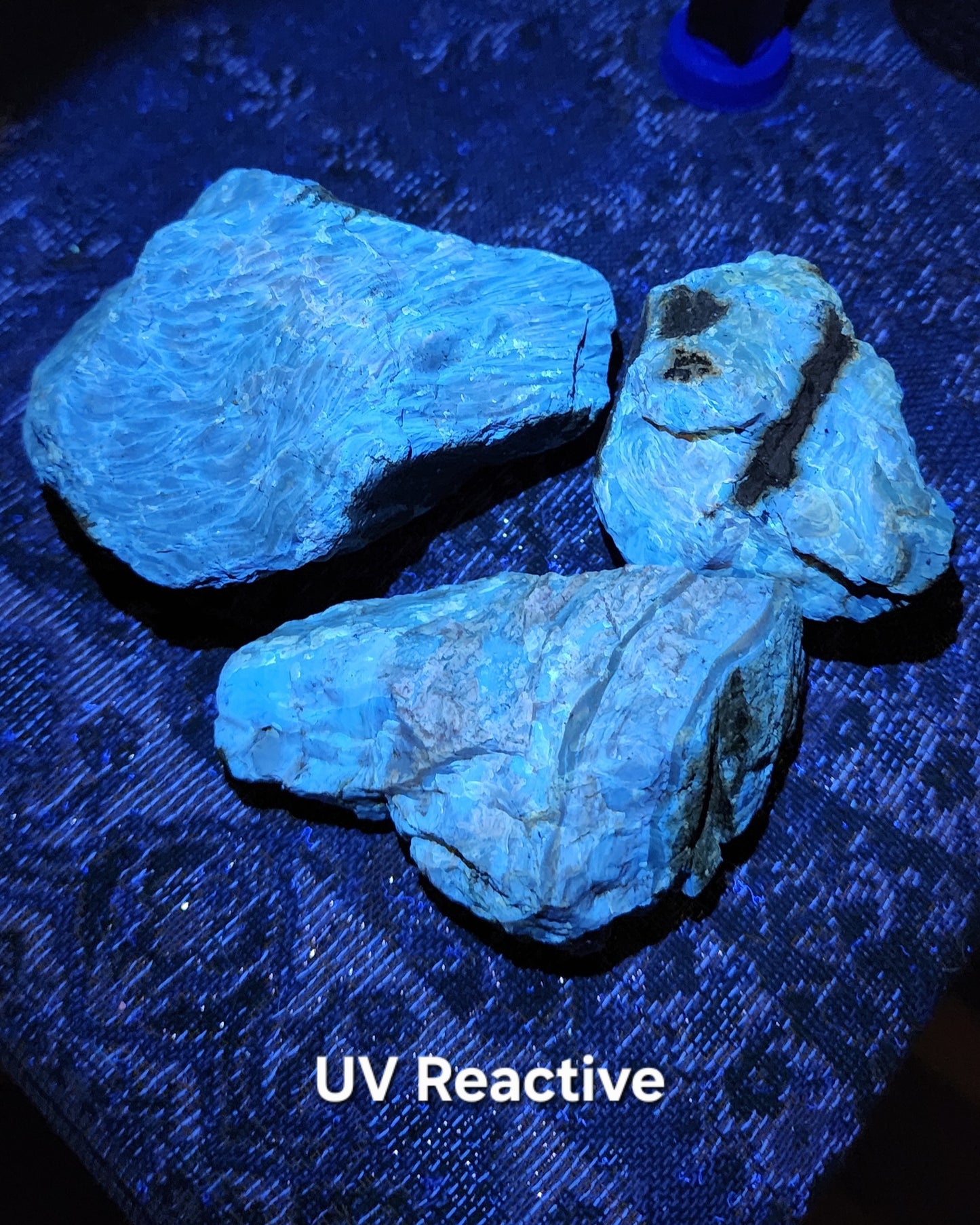 Large Indonesian Amber Chunks UV Reactive