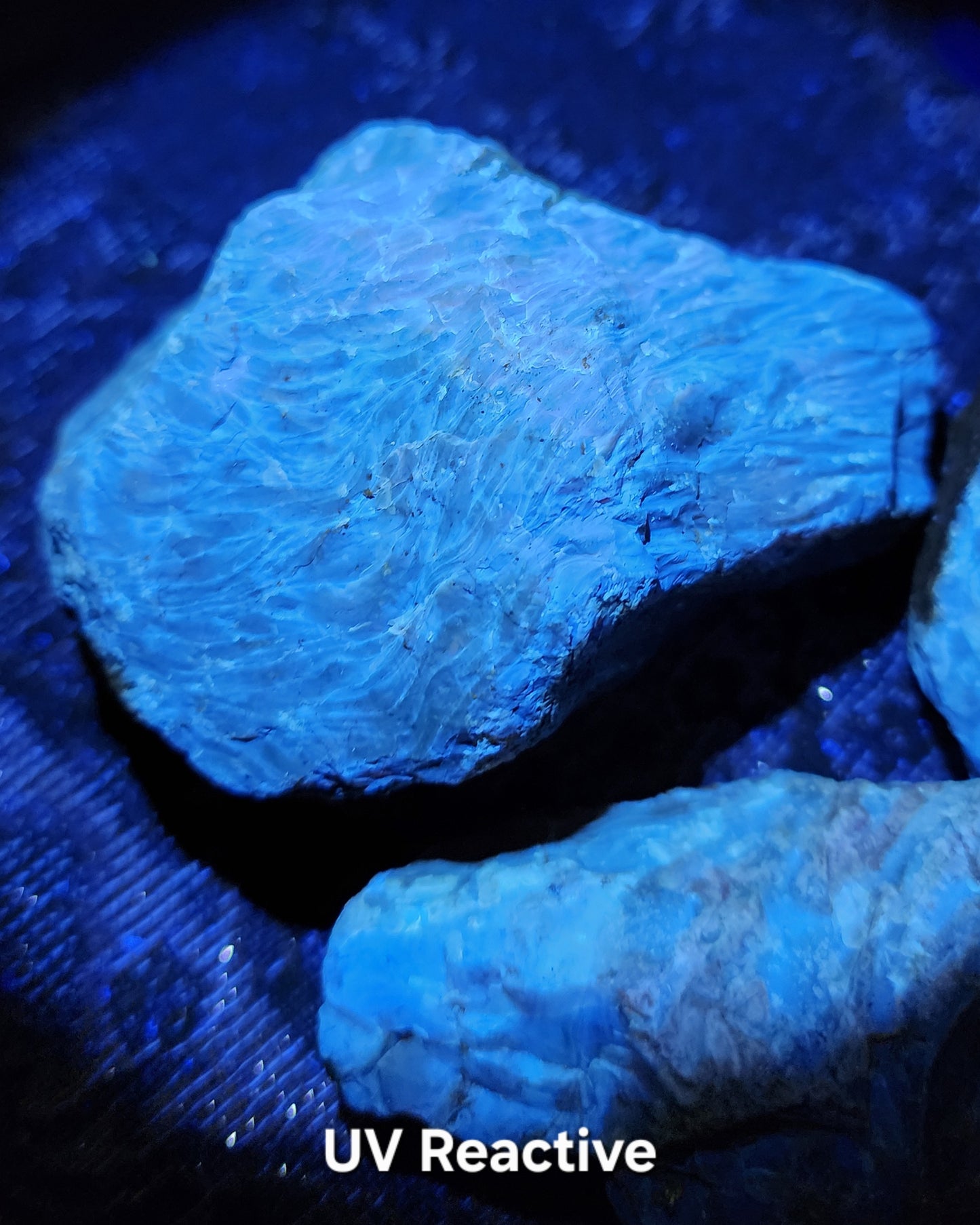 Large Indonesian Amber Chunks UV Reactive