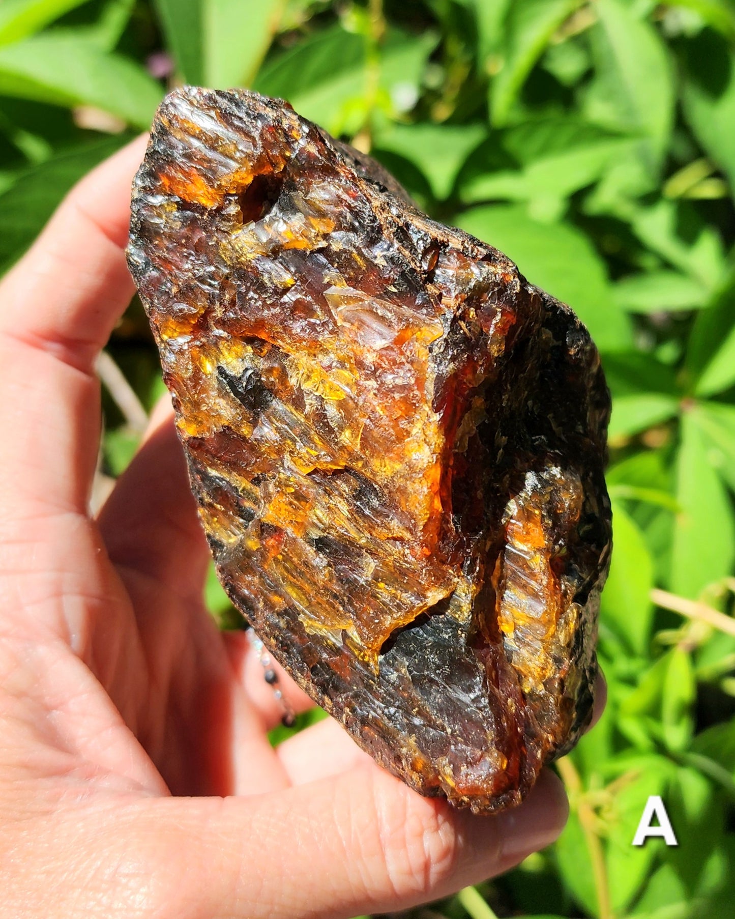 Large Indonesian Amber Chunks UV Reactive