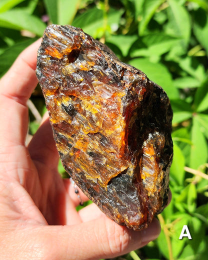 Large Indonesian Amber Chunks UV Reactive