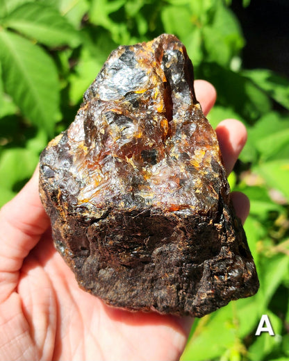 Large Indonesian Amber Chunks UV Reactive