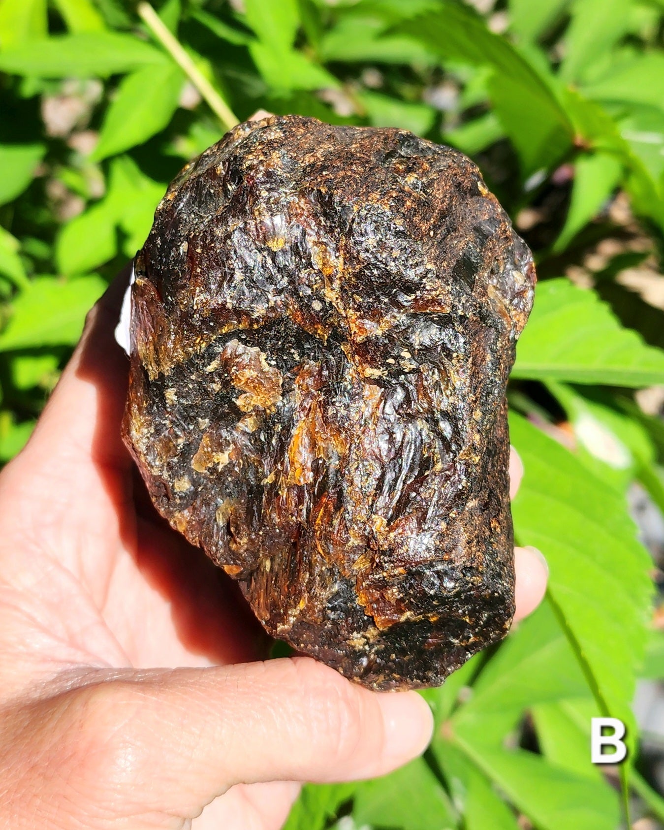 Large Indonesian Amber Chunks UV Reactive