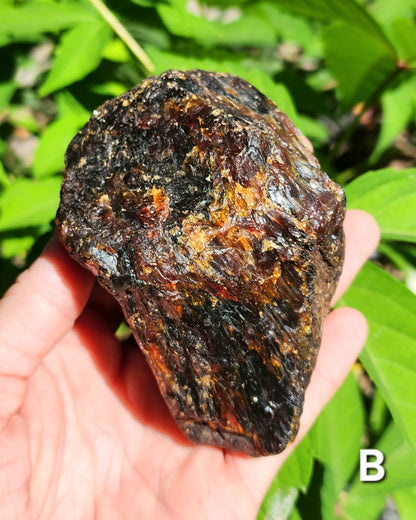 Large Indonesian Amber Chunks UV Reactive
