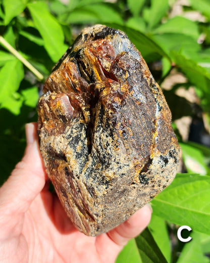 Large Indonesian Amber Chunks UV Reactive