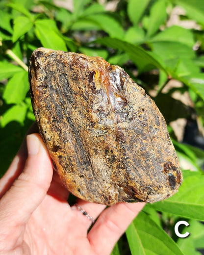 Large Indonesian Amber Chunks UV Reactive