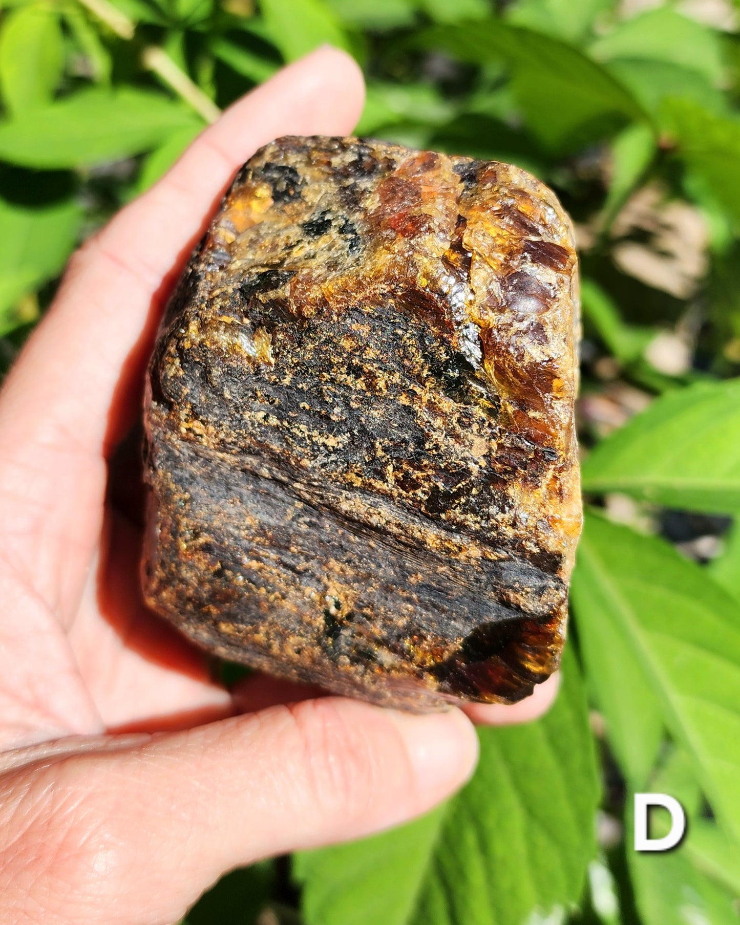 Large Indonesian Amber Chunks UV Reactive