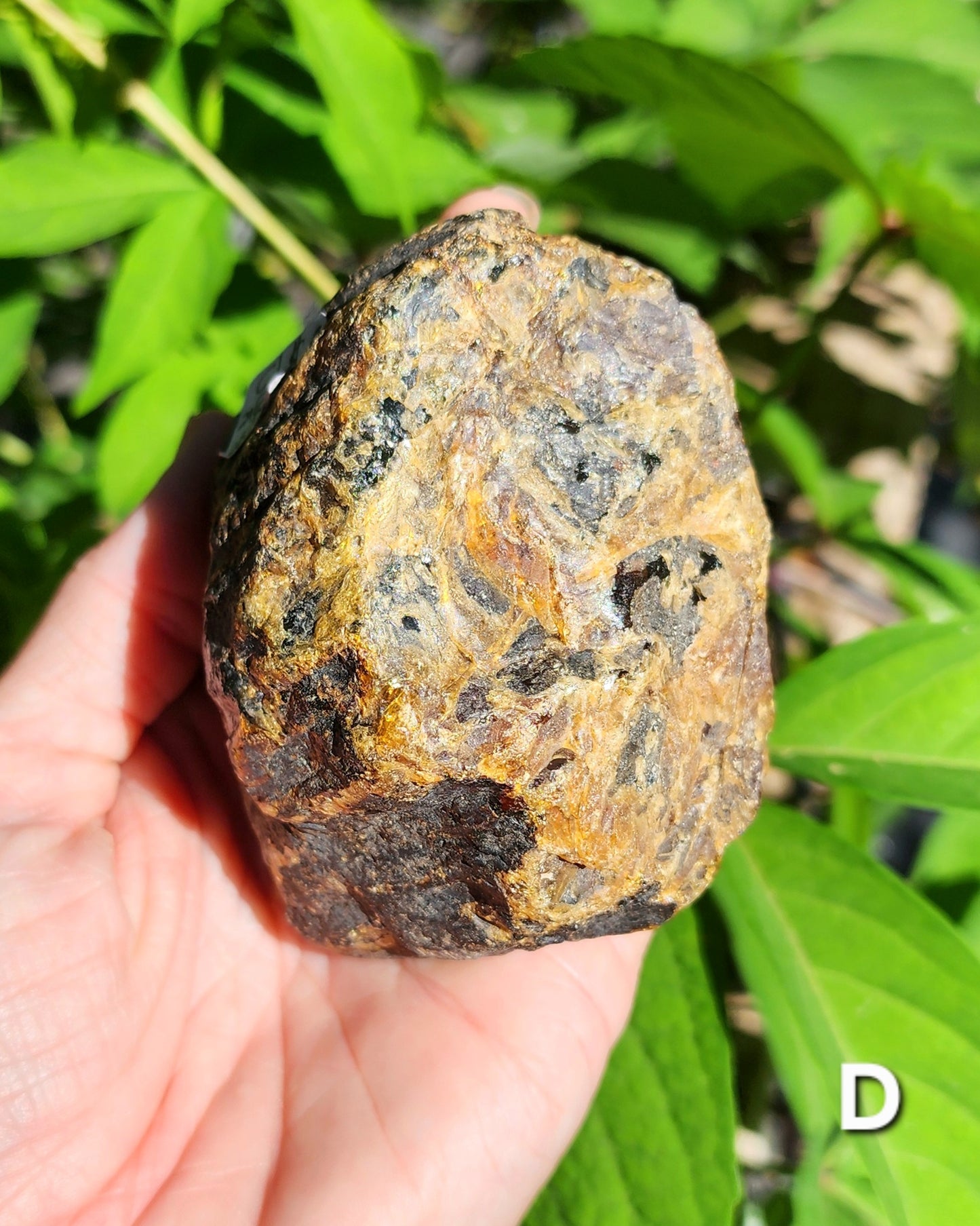 Large Indonesian Amber Chunks UV Reactive