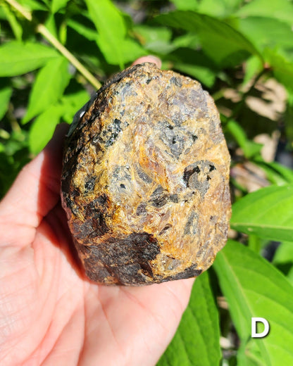 Large Indonesian Amber Chunks UV Reactive