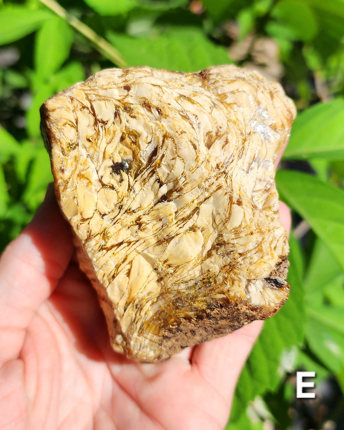 Large Indonesian Amber Chunks UV Reactive