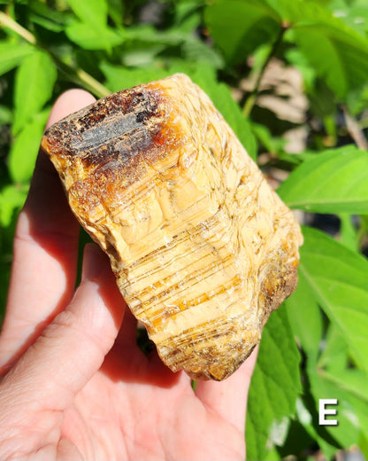 Large Indonesian Amber Chunks UV Reactive