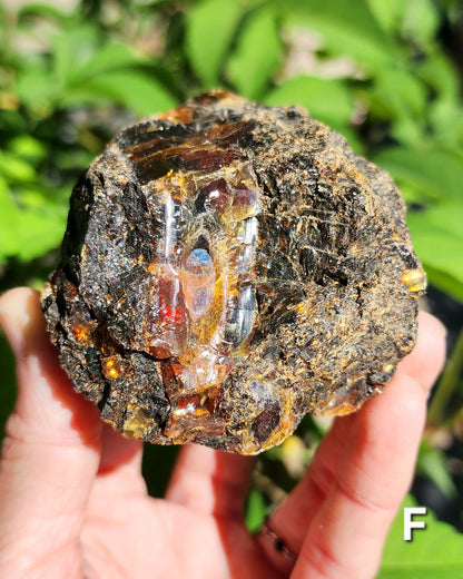 Large Indonesian Amber Chunks UV Reactive