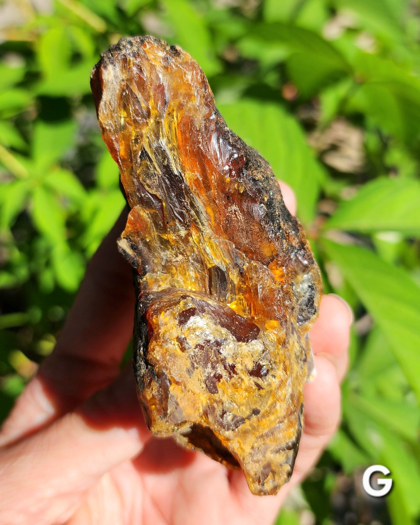 Large Indonesian Amber Chunks UV Reactive
