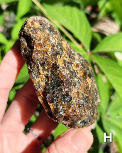 Large Indonesian Amber Chunks UV Reactive