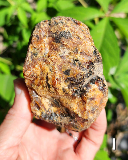 Large Indonesian Amber Chunks UV Reactive
