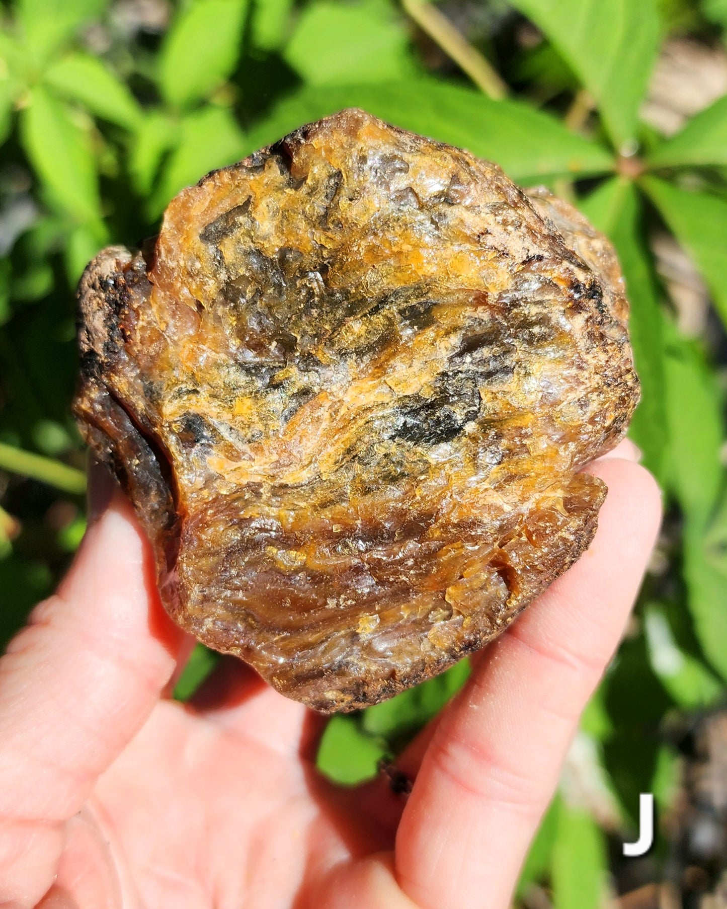 Large Indonesian Amber Chunks UV Reactive