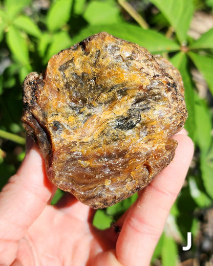 Large Indonesian Amber Chunks UV Reactive