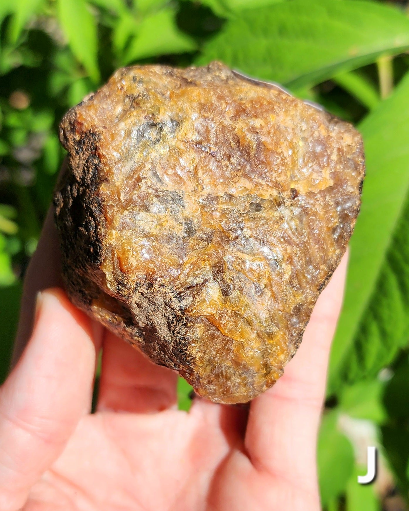Large Indonesian Amber Chunks UV Reactive